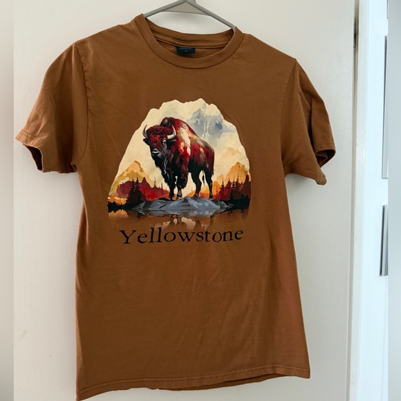 The Mountain Other - The Mountain Brown Yellowstone Bison T-Shirt